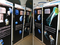 Lange Nacht der Museen - Sidewinder Zoo Aquarium Berlin