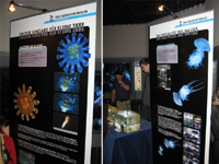 Lange Nacht der Museen - Sidewinder Zoo Aquarium Berlin