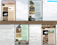 Aquarium Berlin - Montage