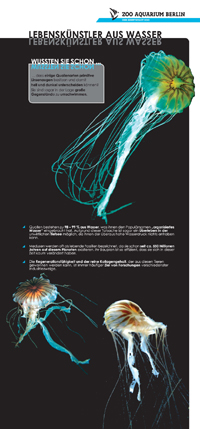 Lange Nacht 2011 - Zoo Aquarium Berlin