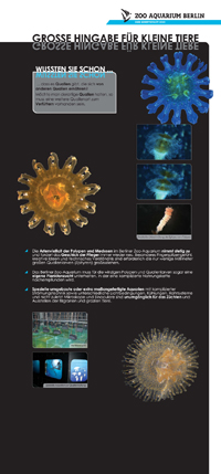 Lange Nacht 2011 - Zoo Aquarium Berlin