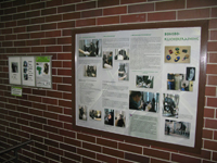 Schautafel Bonobos Zool.Garten Berlin