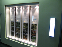 Zoo Aquarium Berlin - Vitrine Gebisse Schlangen