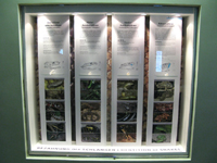 VitZoo Aquarium Berlin - Vitrine Gebisse Schlangen